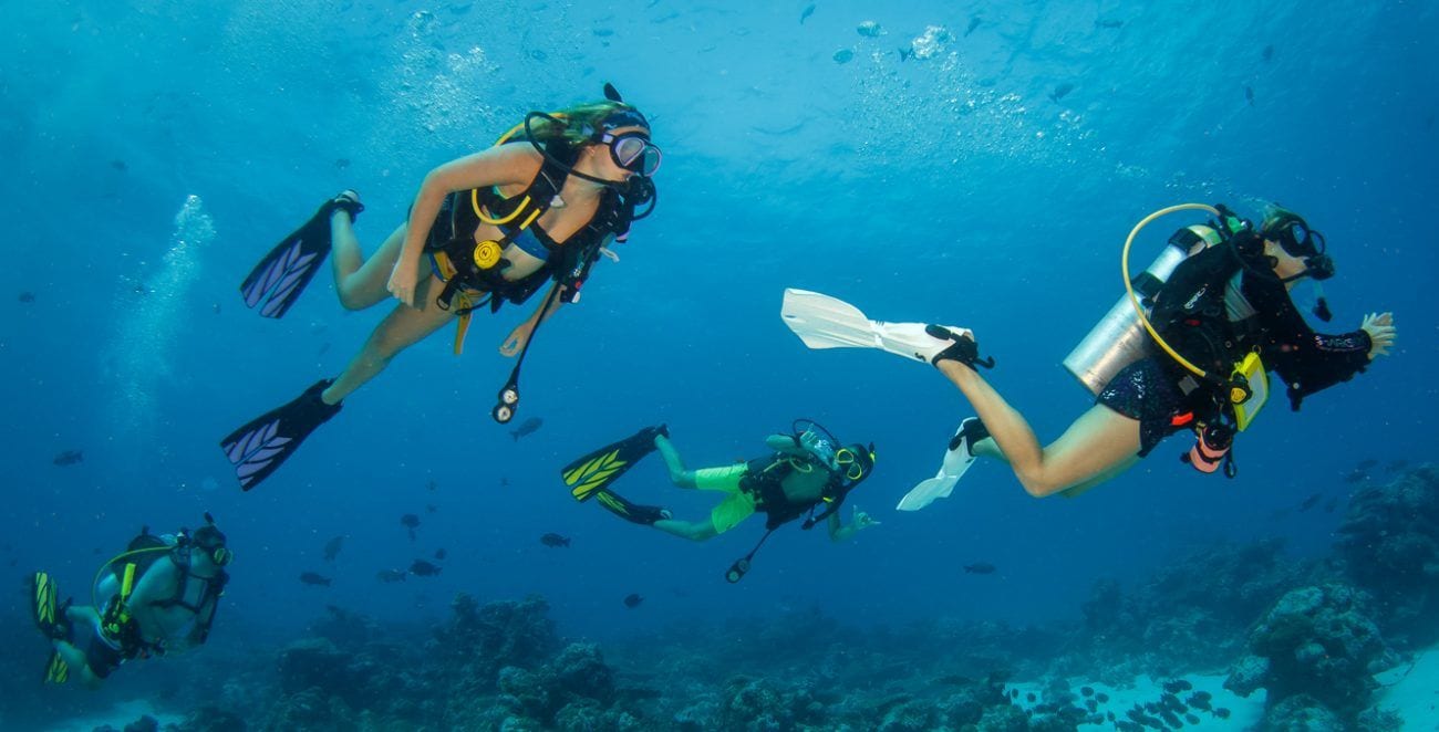 Bonaire Divers Guide