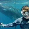 Whale sharks, Philippines, Kids Sea Camp