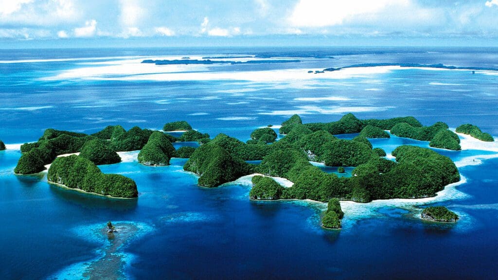 Intelligent Travel (Kids Sea Camp Palau) by National Geographic author Rainer Jenns