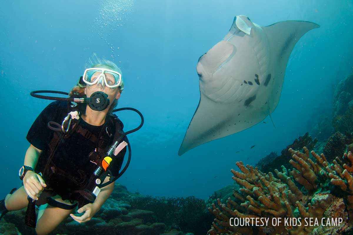 Palau, sharks, scuba and kids, family dive vacations, kids sea camp
