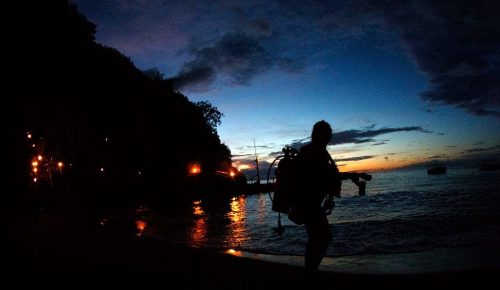 Night Diving, Kids Sea Camp