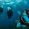 Dive Training, Scuba Vacations, Kids Sea Camp