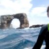 Kids Sea Camp, Galapagos, Diving adventures