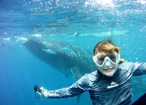 Whale shark, Kids Sea Camp, Palau