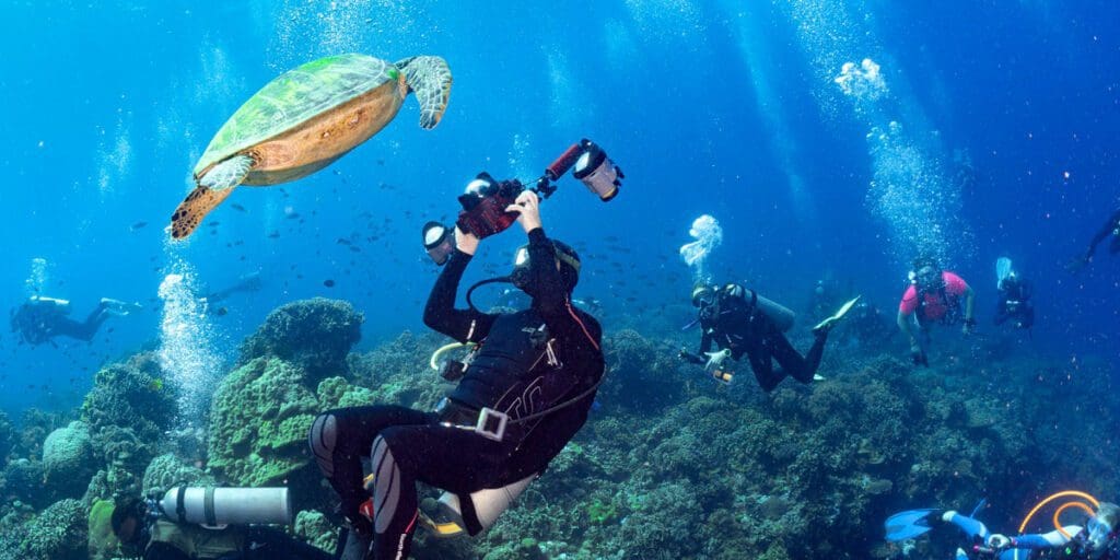 Best practices and etiquette for underwater photographers