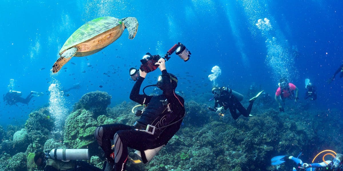 Underwater photography, diving and photos, kids sea camp