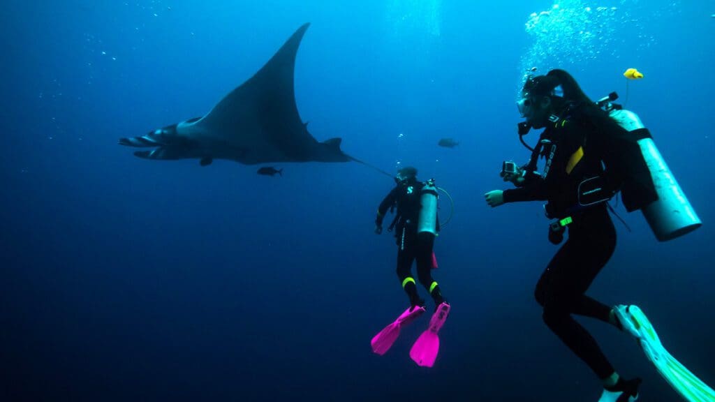 Our first Liveaboard dive trip is with Kids Sea Camp