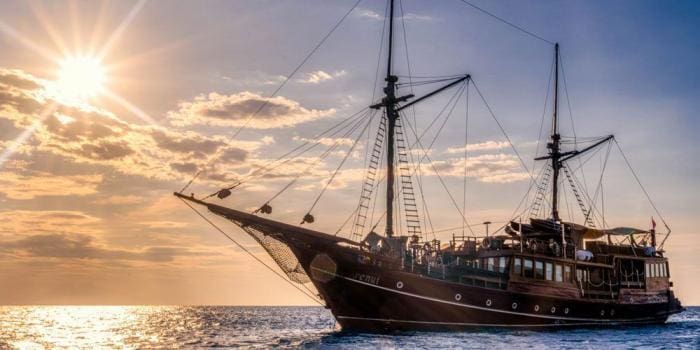 Komodo, Kids Sea Camp, Family Vacations, Sharks, Bucket list, The Arenui