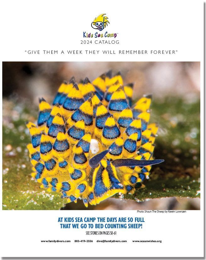 Kids Sea Camp Magazine