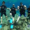 Kids Sea Camp, diving with Kids, diving with family