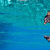 Baby Turtle Hatch, Kids Sea Camp, st. lucia, kids and diving