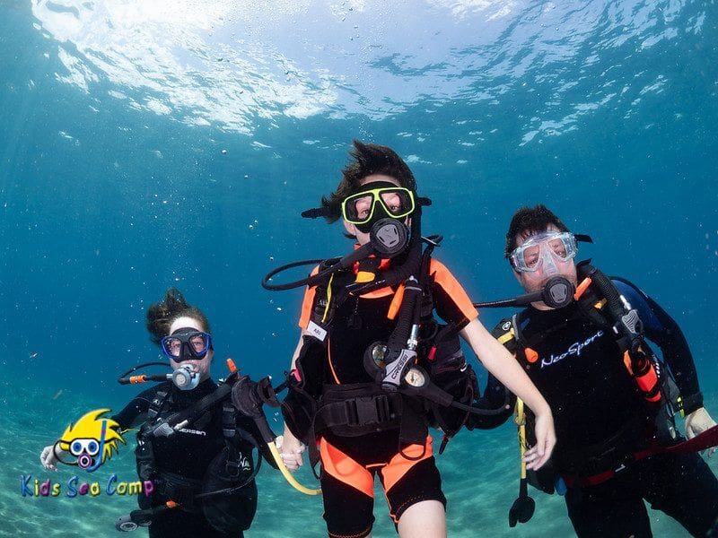 Dream Vacation: “From Arizona to Anse Chastanet: A Dream Dive Adventure”