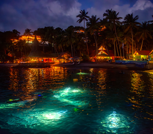 Welcome to some of the best underwater images in the world