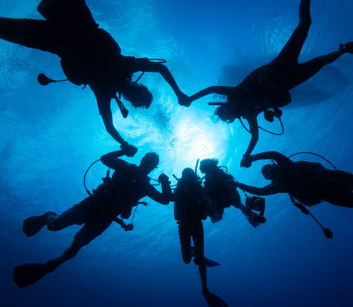 Welcome to some of the best underwater images in the world