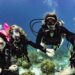kids sea camp, kids diving, scuba kids, family dive, kids dive, dive trips