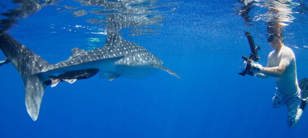 Family Trippin in Micronesia with Kids Sea Camp