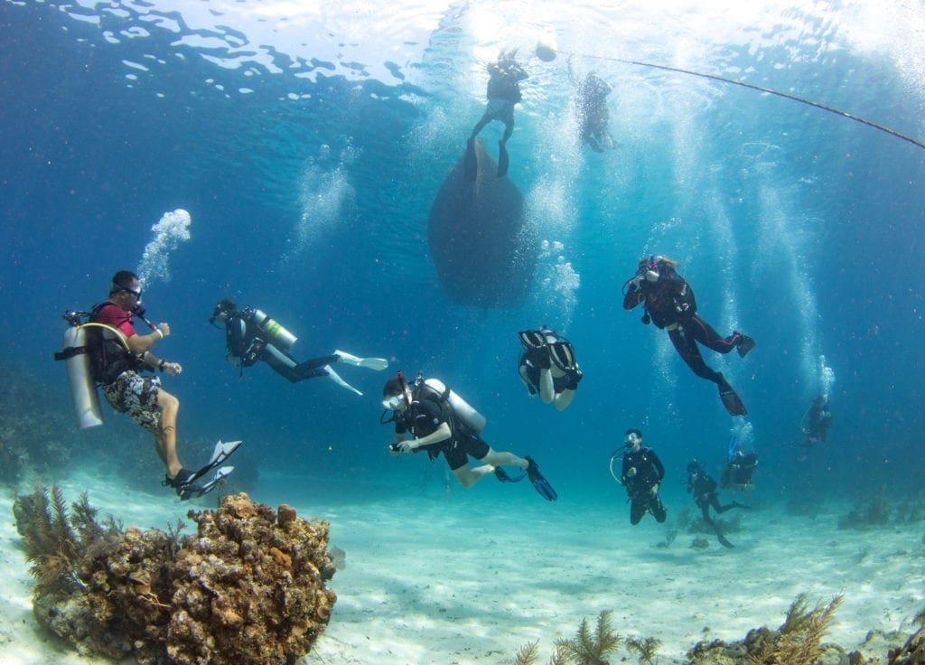 Family Scuba Diving Adventures, Kids Sea Camp, Margo Peyton, Wreck diving, Family Dive Adventures, Scuba Diving