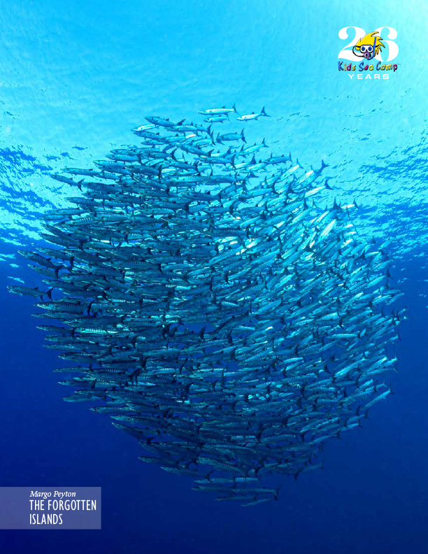 Kids Sea Camp, Margo Peyton, kids and diving, family dive vacations