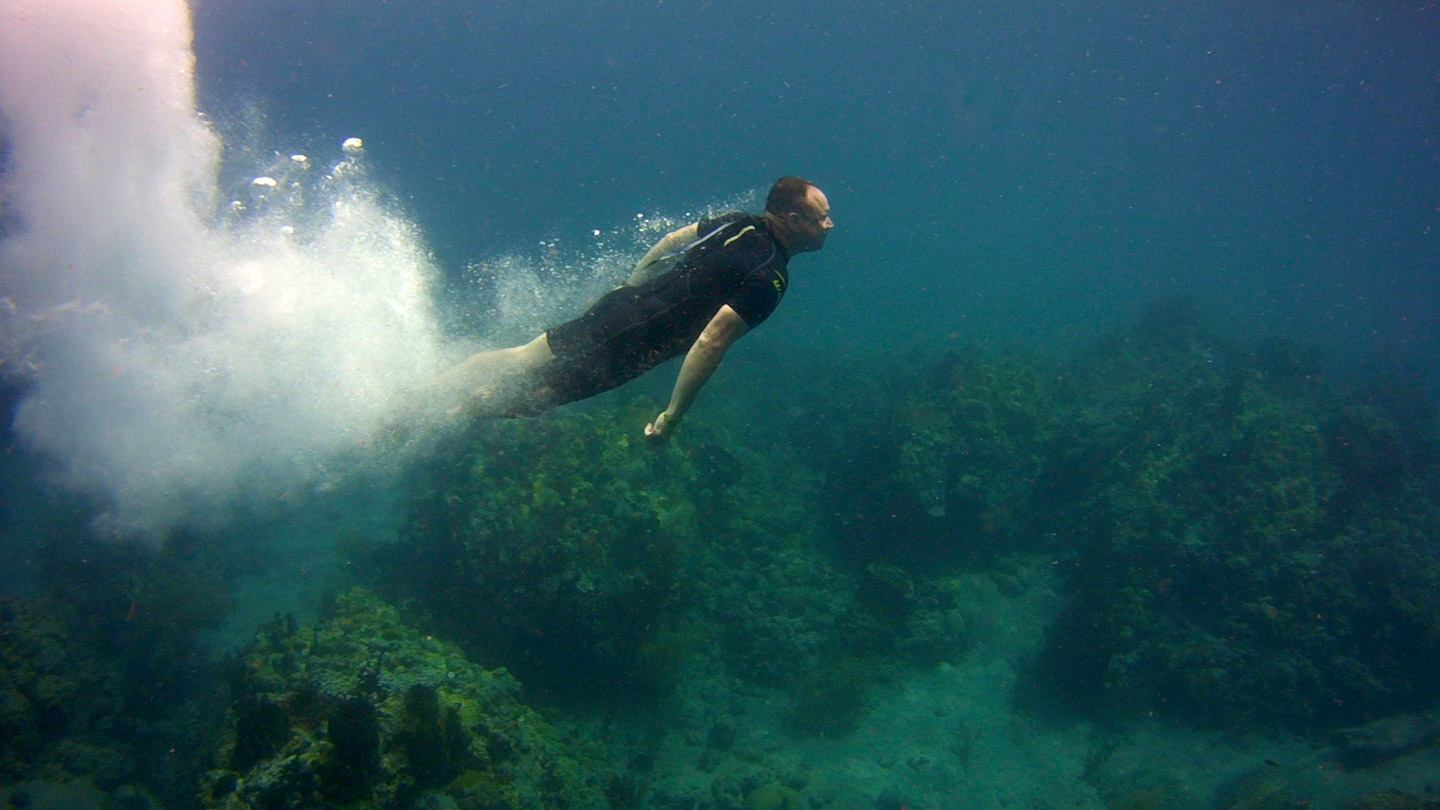 Diving Back Into Life