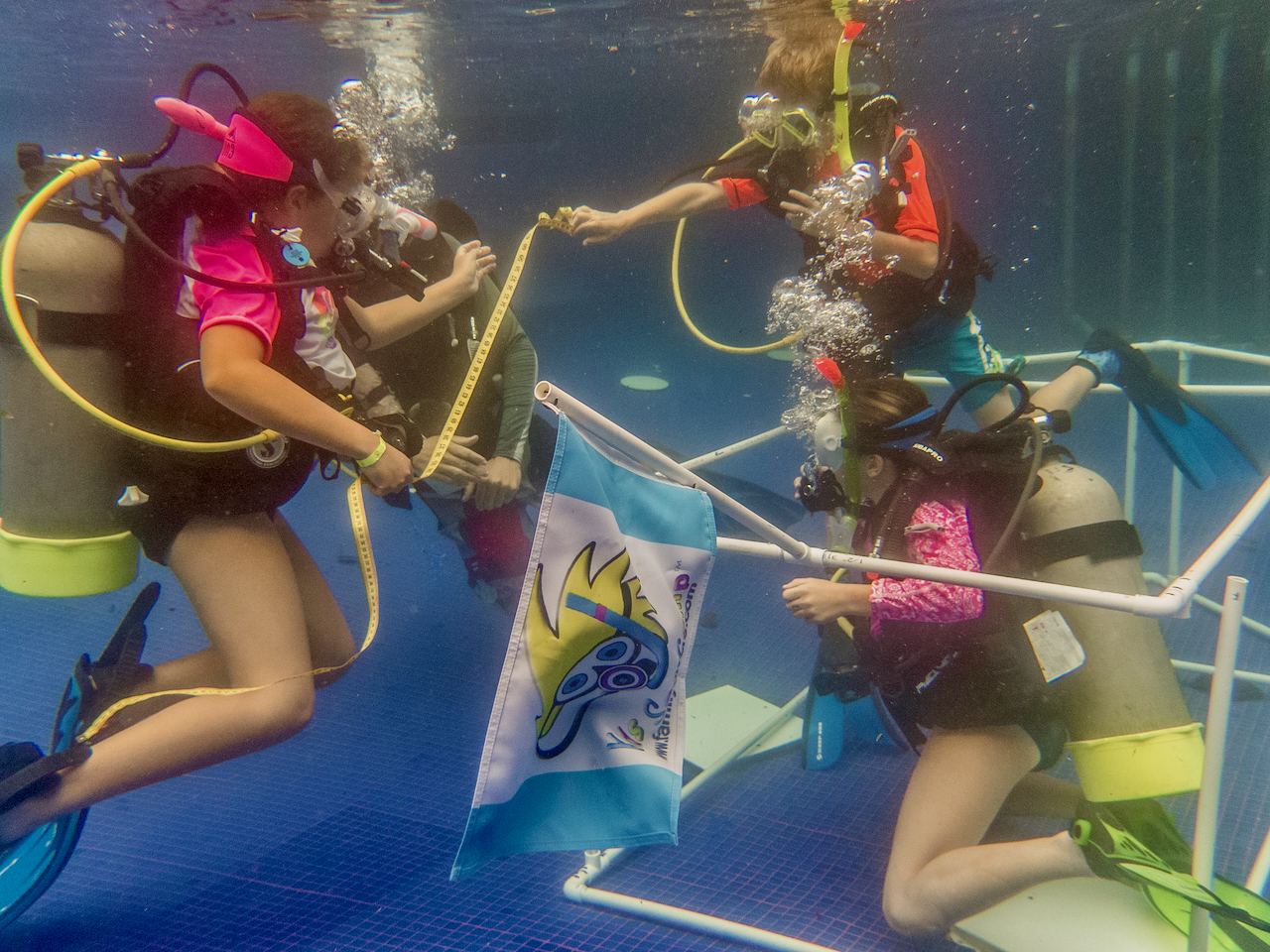 The new PADI Seal Team program 2026